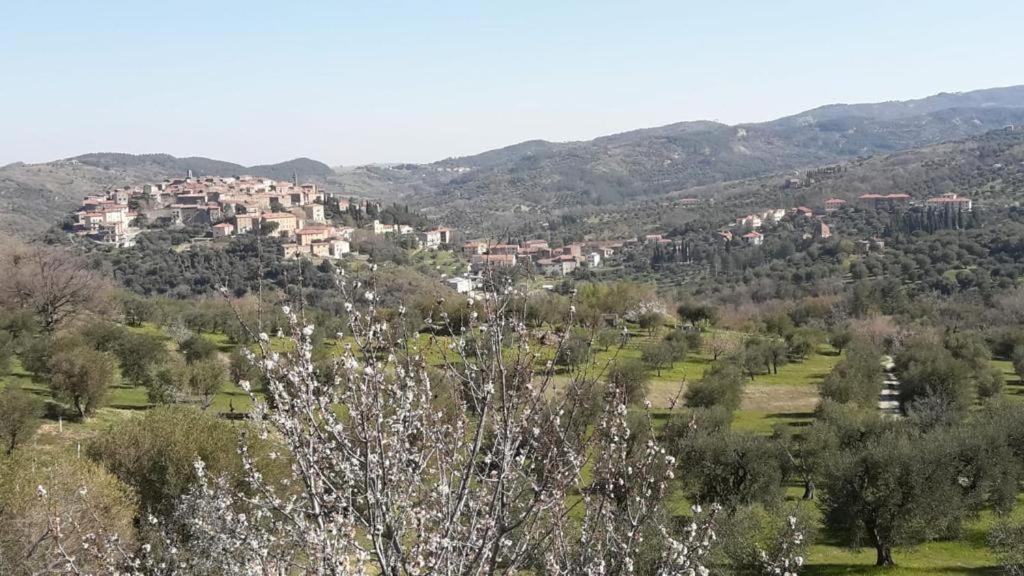 Giardino di Potentino Seggiano Esterno foto