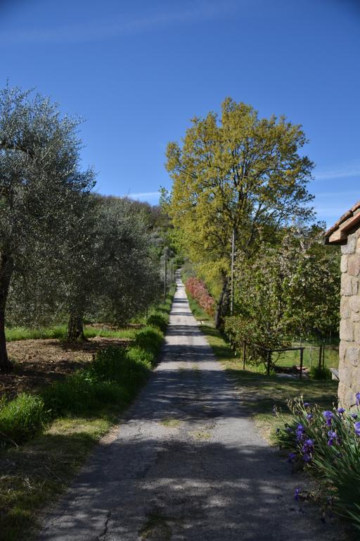 Giardino di Potentino Seggiano Esterno foto