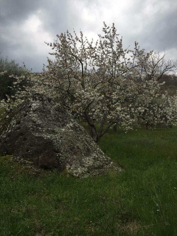 Giardino di Potentino Seggiano Esterno foto