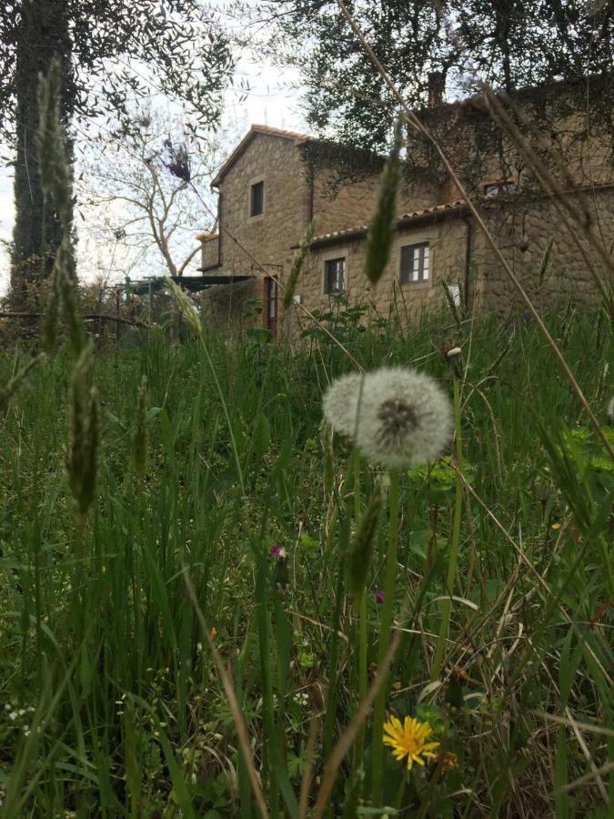 Giardino di Potentino Seggiano Esterno foto